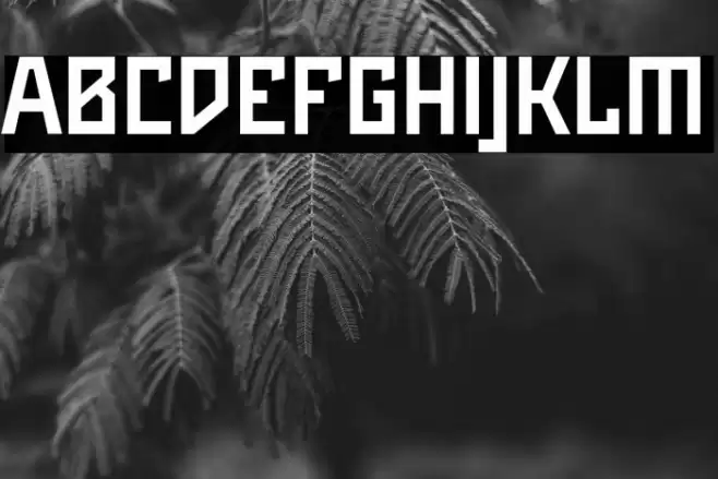 Maiers Neue Nr.8 Reduced Bold Font examples