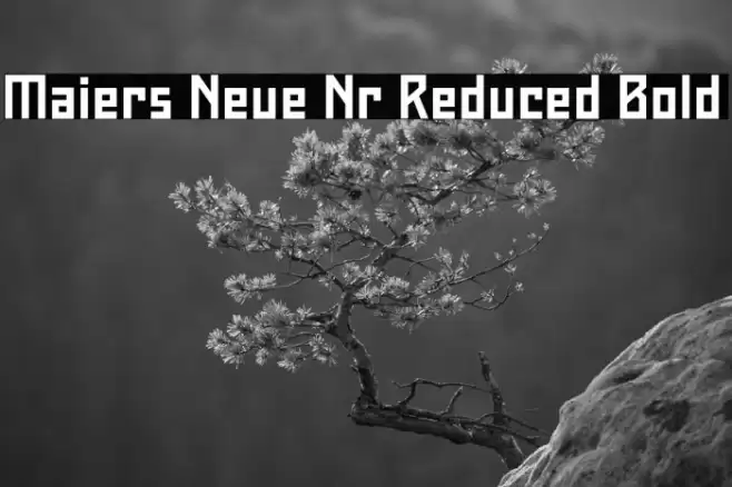 Maiers Neue Nr.8 Reduced Bold Font examples