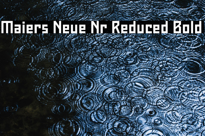 Maiers Neue Nr.8 Reduced Bold Example 2