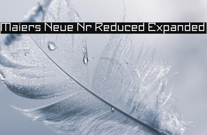 Maiers Neue Nr.8 Reduced Expanded Example 1