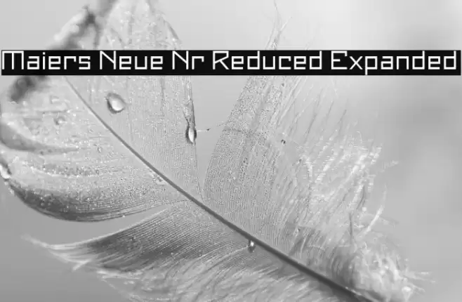 Maiers Neue Nr.8 Reduced Expanded Font examples
