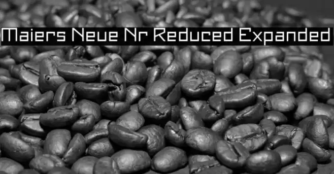 Maiers Neue Nr.8 Reduced Expanded Font examples