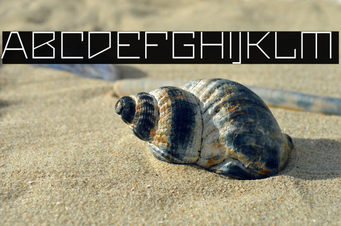 Maiers Neue Nr.8 Reduced Light Expanded Example 2