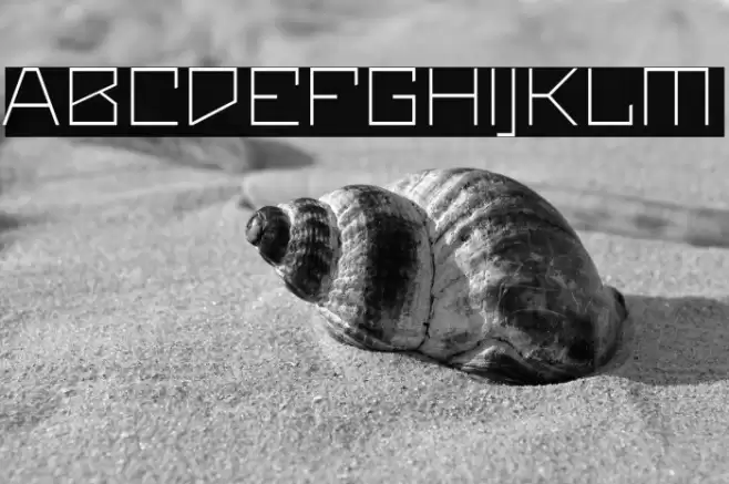 Maiers Neue Nr.8 Reduced Light Expanded Font examples