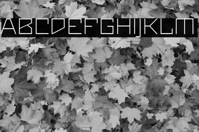 Maiers Neue Nr.8 Reduced Light Expanded Font examples