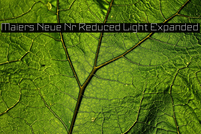 Maiers Neue Nr.8 Reduced Light Expanded Example 3