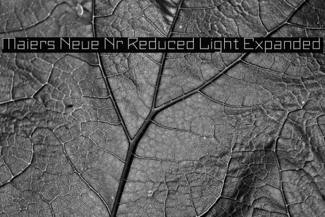 Maiers Neue Nr.8 Reduced Light Expanded Font examples