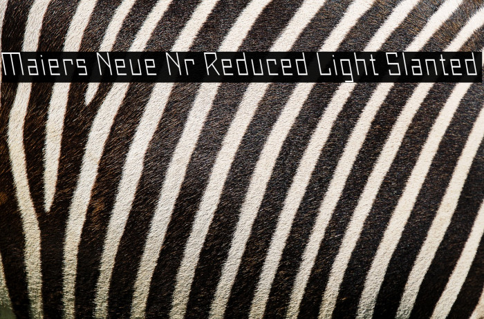 Maiers Neue Nr.8 Reduced Light Slanted Example 2