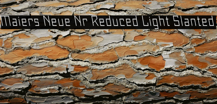 Maiers Neue Nr.8 Reduced Light Slanted Example 3