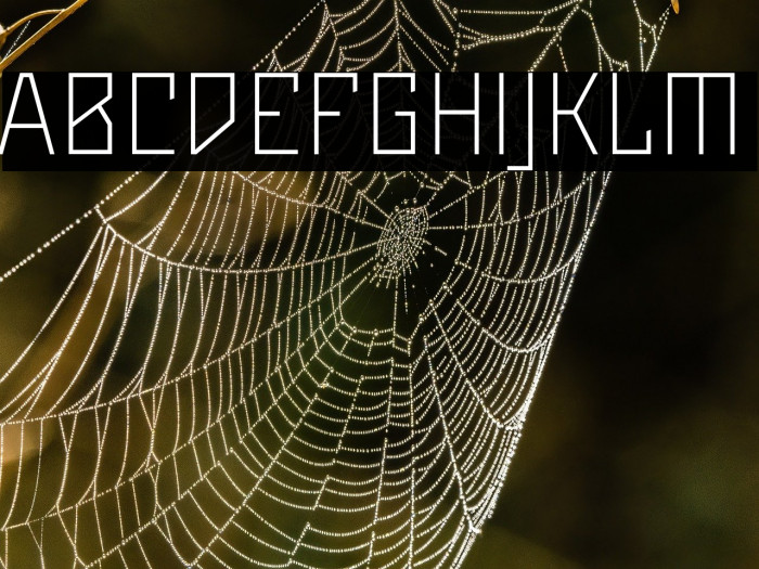 Maiers Neue Nr.8 Reduced Light Example 1