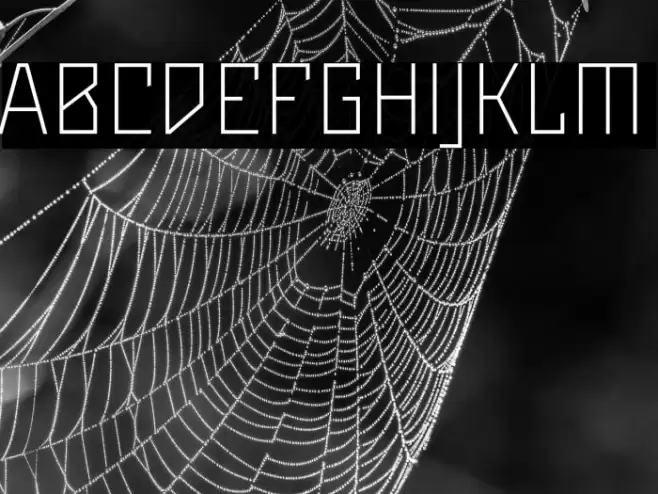 Maiers Neue Nr.8 Reduced Light Font examples