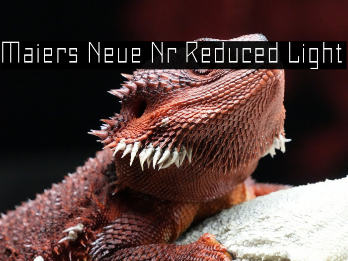 Maiers Neue Nr.8 Reduced Light Example 1