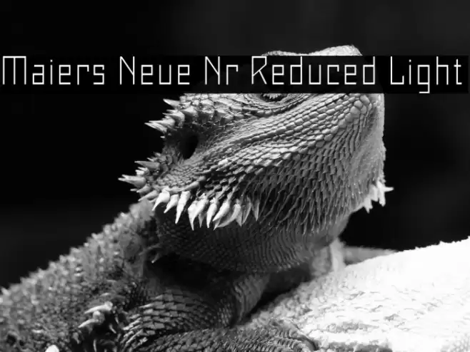 Maiers Neue Nr.8 Reduced Light Font examples