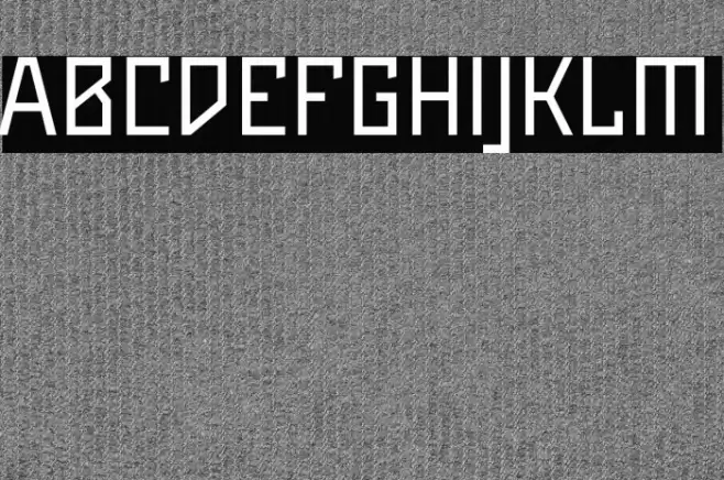 Maiers Neue Nr.8 Reduced Regular Font examples