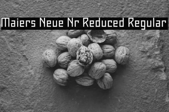 Maiers Neue Nr.8 Reduced Regular Font examples