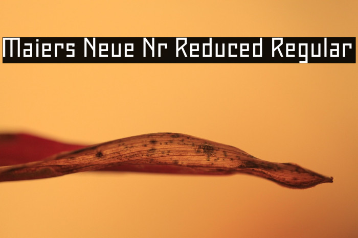 Maiers Neue Nr.8 Reduced Regular Example 2