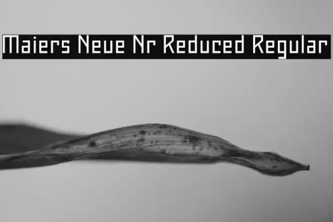 Maiers Neue Nr.8 Reduced Regular Font examples