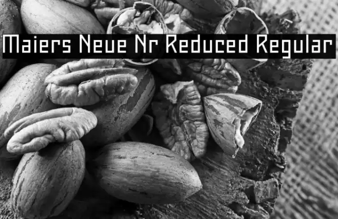 Maiers Neue Nr.8 Reduced Regular Font examples