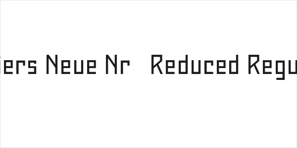 Maiers Neue Nr.8 Reduced Regular Logo