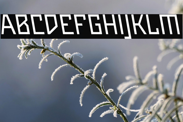 Maiers Neue Nr.8 Reduced Slanted Example 1