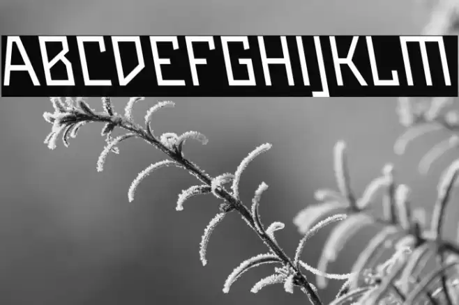 Maiers Neue Nr.8 Reduced Slanted Font examples