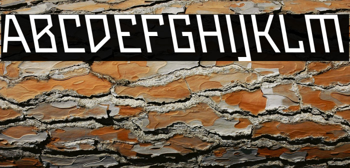 Maiers Neue Nr.8 Reduced Slanted Example 2