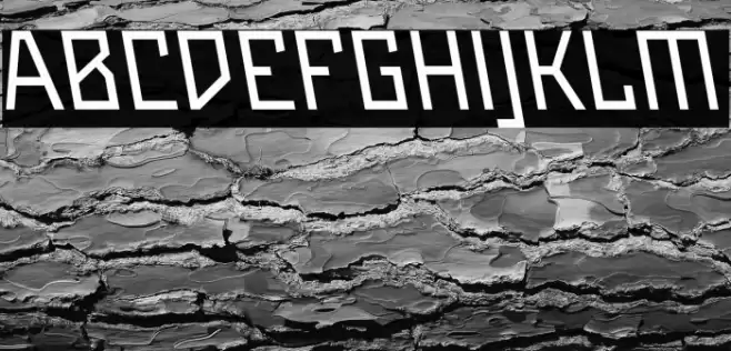 Maiers Neue Nr.8 Reduced Slanted Font examples