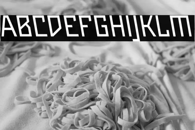 Maiers Neue Nr.8 Reduced Slanted Font examples