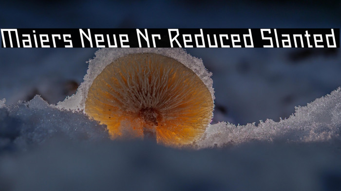 Maiers Neue Nr.8 Reduced Slanted Example 1