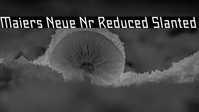 Maiers Neue Nr.8 Reduced Slanted Font examples