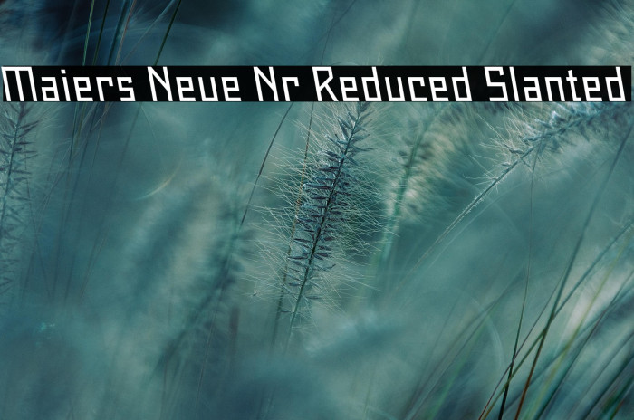 Maiers Neue Nr.8 Reduced Slanted Example 2