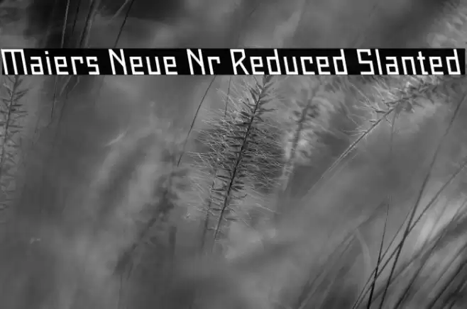 Maiers Neue Nr.8 Reduced Slanted Font examples