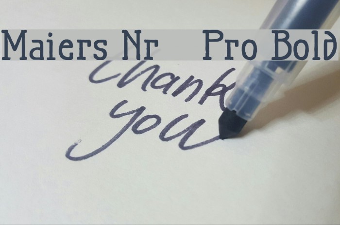 Maiers Nr21 Pro Bold Шрифта examples