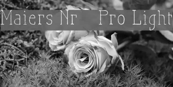 Maiers Nr21 Pro Light Шрифта examples