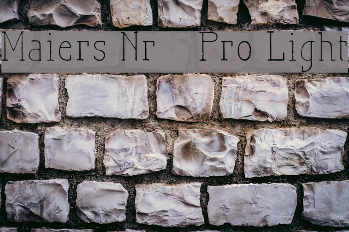 Maiers Nr21 Pro Light Шрифта examples