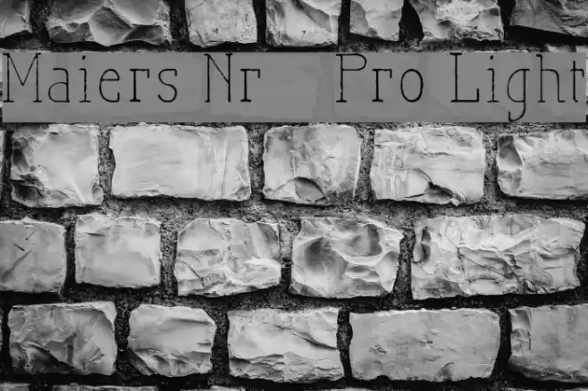 Maiers Nr21 Pro Light Шрифта examples