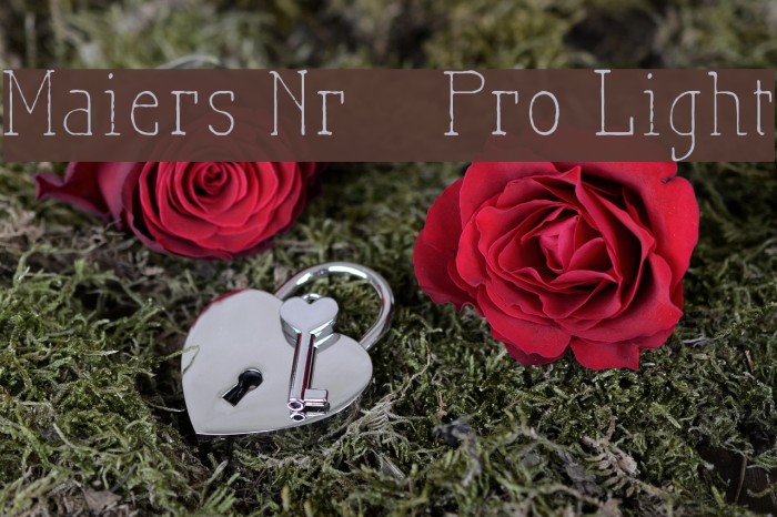 Maiers Nr21 Pro Light Шрифта examples