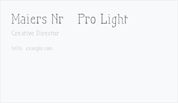 Maiers Nr21 Pro Light Business Card