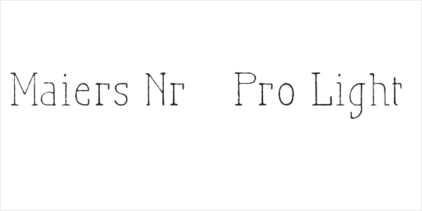 Maiers Nr21 Pro Light Logo