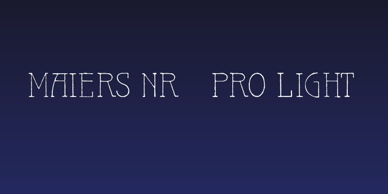 Maiers Nr21 Pro Light Social Header