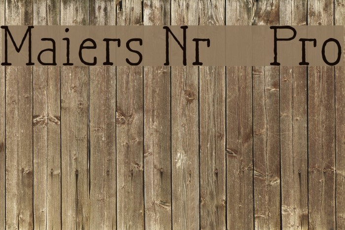 Maiers Nr21 Pro Font examples