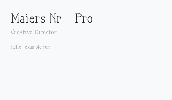 Maiers Nr21 Pro Business Card