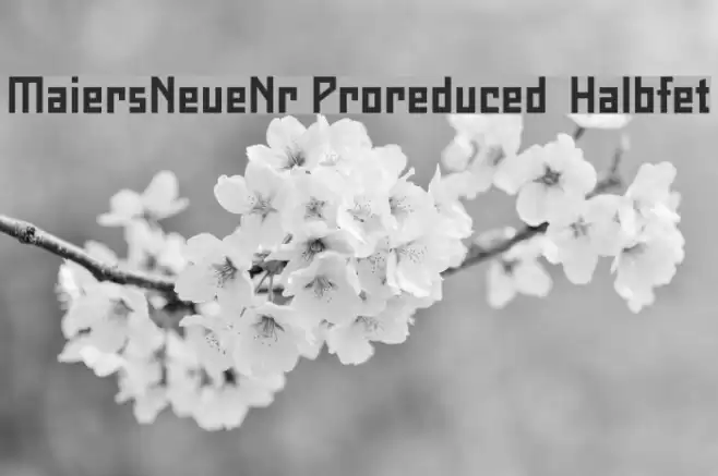 MaiersNeueNr.Proreduced-Halbfet Font examples