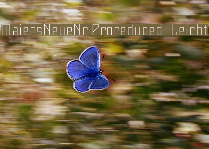 MaiersNeueNr.Proreduced-Leicht Font examples