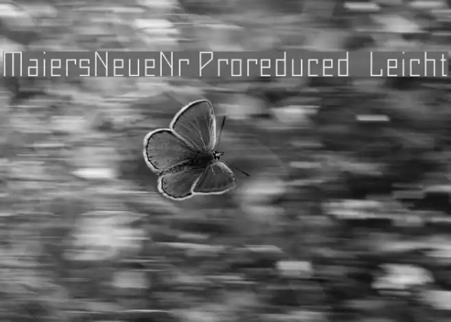 MaiersNeueNr.Proreduced-Leicht Example 2