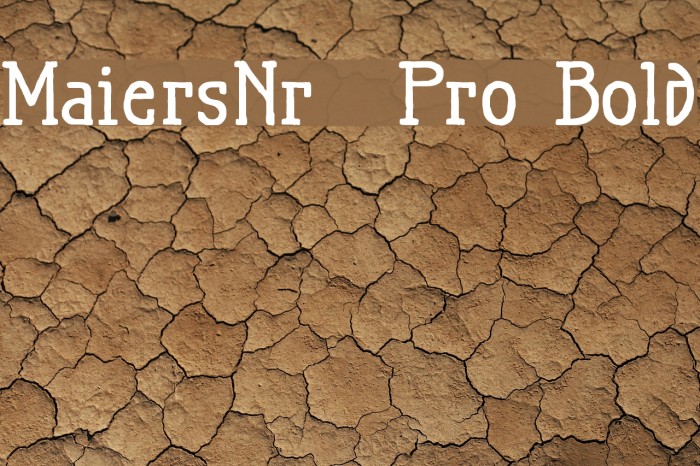 MaiersNr.21Pro-Bold Font examples
