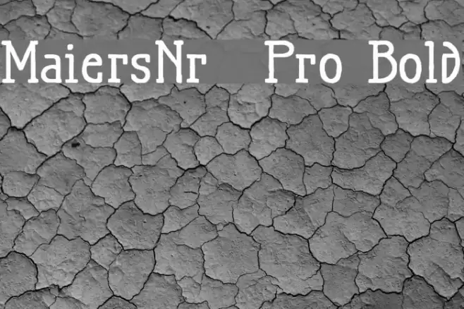 MaiersNr.21Pro-Bold Font examples