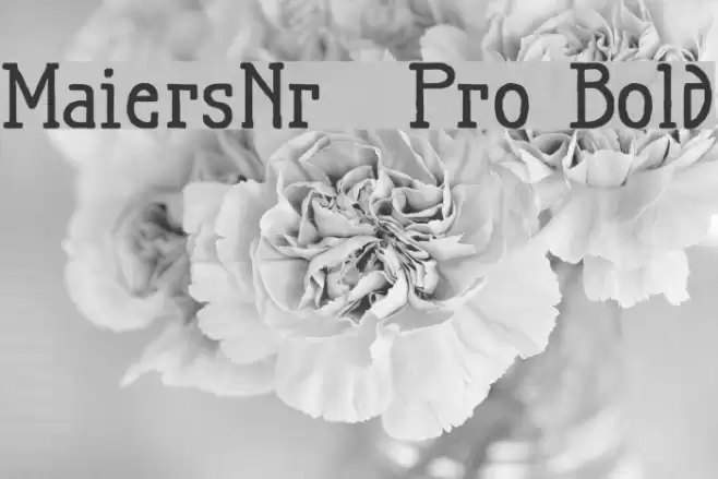 MaiersNr.21Pro-Bold Font examples