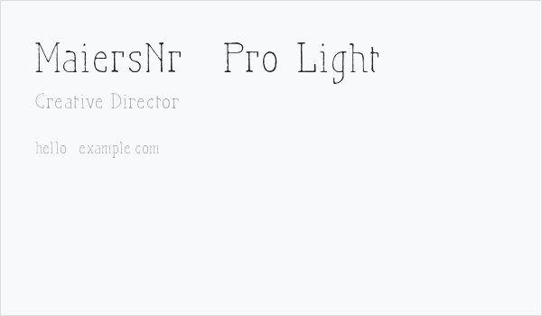 MaiersNr.21Pro-Light Business Card