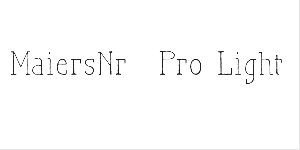 MaiersNr.21Pro-Light Logo